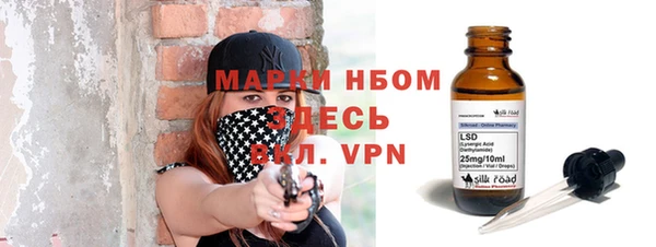 стаф Осинники
