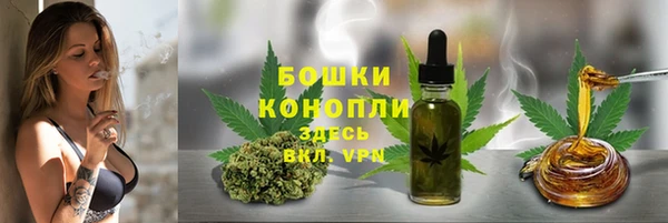 стаф Осинники