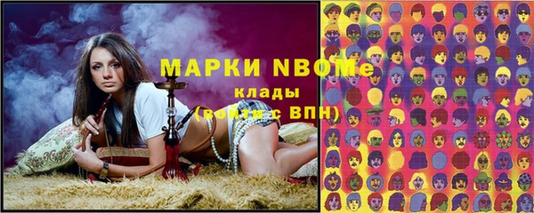 стаф Осташков