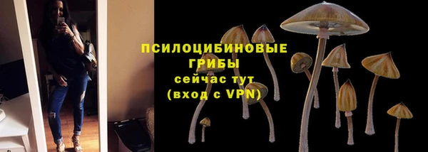 стаф Осташков