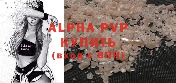 стаф Осташков