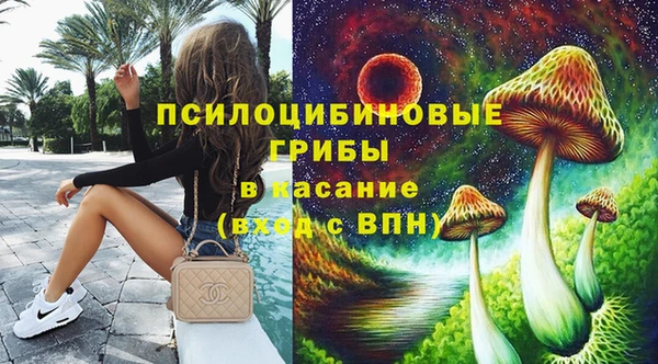 стаф Осташков