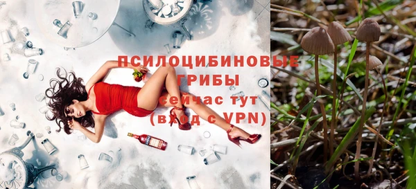 стаф Осташков