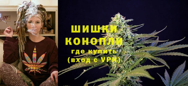 стаф Осташков