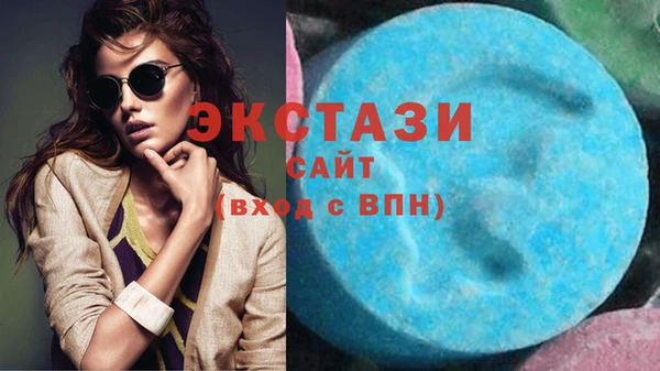 стаф Осинники