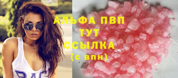 стаф Осташков