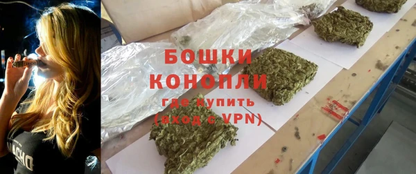 стаф Осташков