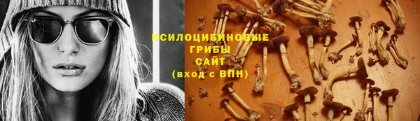 стаф Осинники