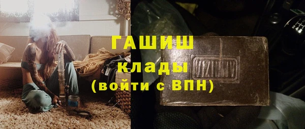 стаф Осинники