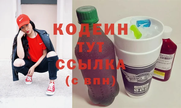 стаф Осинники