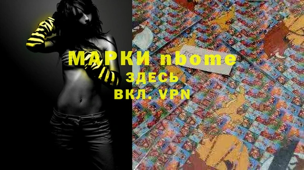 стаф Осташков