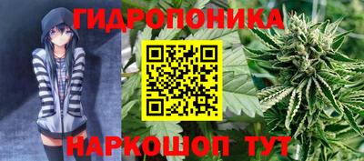 тгк Апшеронск