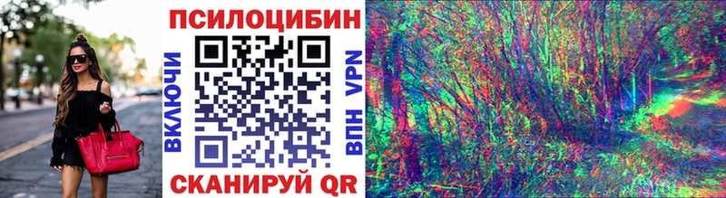 даркнет сайт  hydra вход  Псилоцибиновые грибы Psilocybe  Аргун 