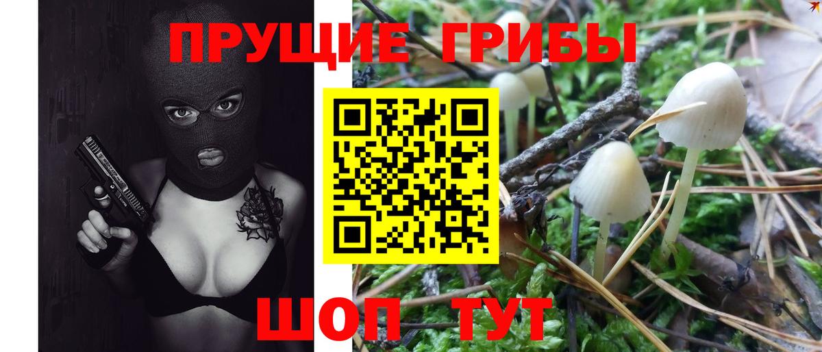 Галлюциногенные грибы Psilocybine cubensis  Вход с VPN  Аргун 