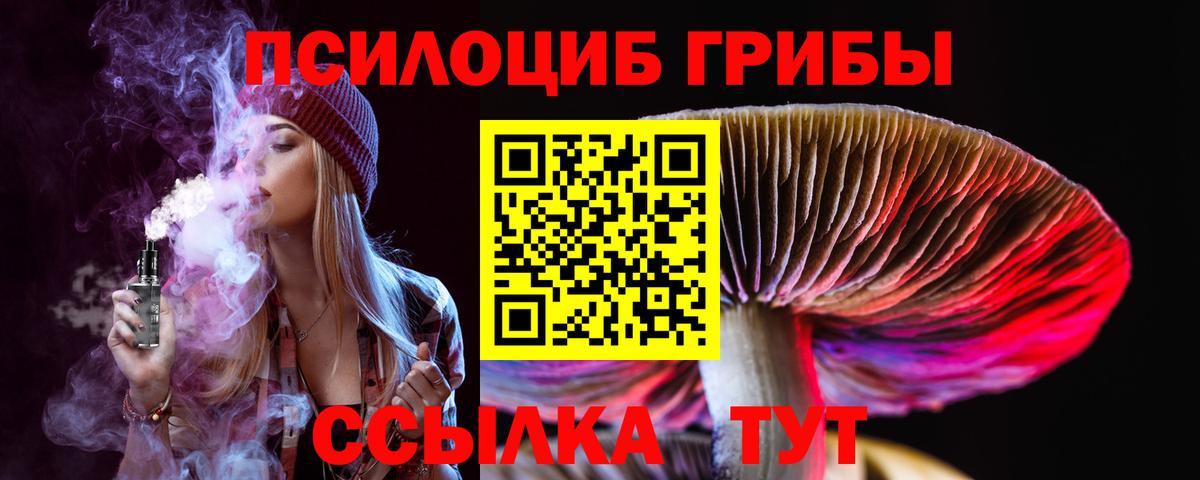 Псилоцибиновые грибы мухоморы Аргун