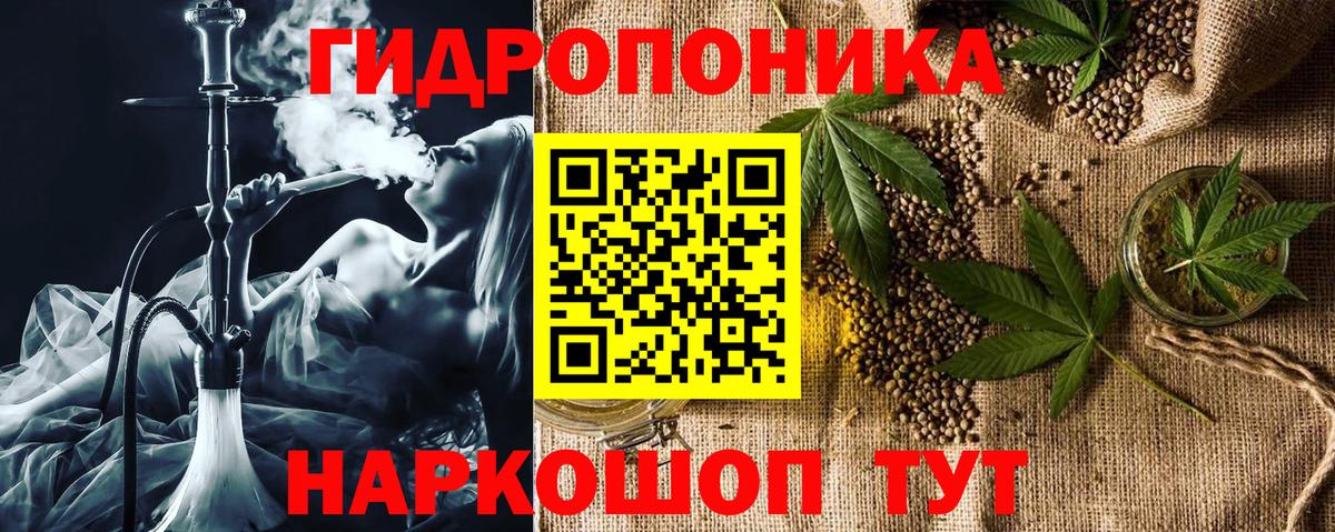 Бошки марихуана индика  Бошки марихуана OG Kush  Канабис Ganja  Марихуана THC 21%  Аргун 